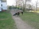 Thumbs/tn_Trainingslager_Radis_2012 (19).jpg
